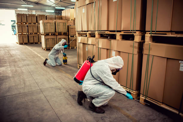 Professional Pest Control in Waterville, NY