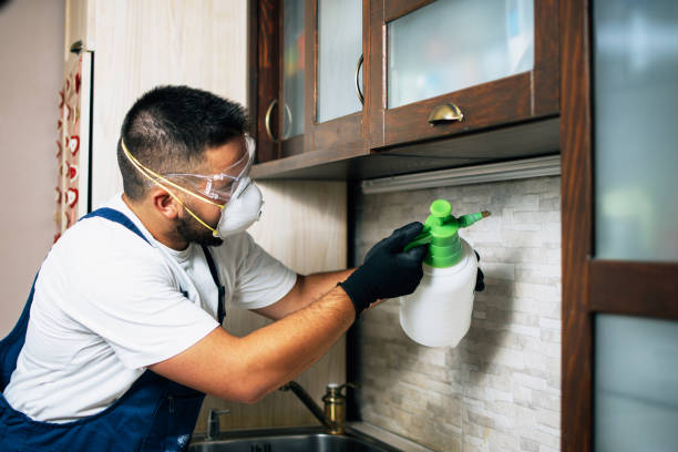 Best Wildlife Control Services  in Waterville, NY