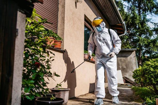 Best Mosquito Control Services  in Waterville, NY