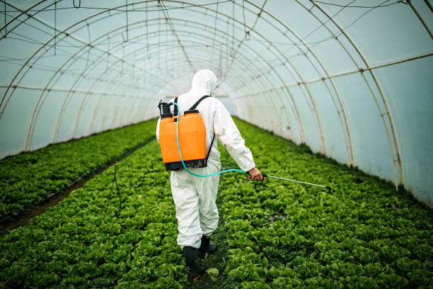 Best Residential Pest Control  in Waterville, NY