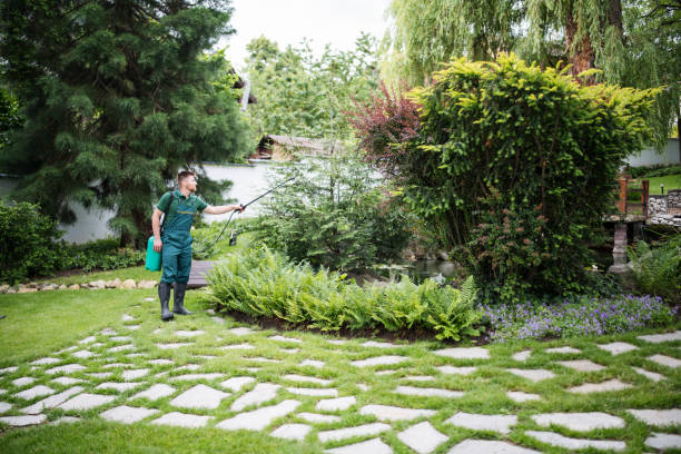 Best Affordable Pest Control Services  in Waterville, NY