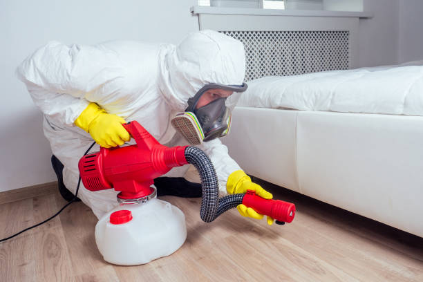 Best Termite Control Services  in Waterville, NY