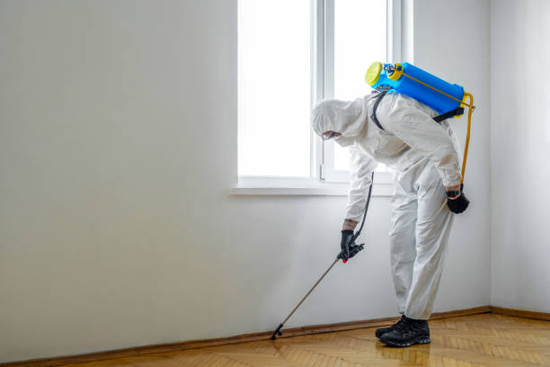 Best Emergency Pest Control  in Waterville, NY