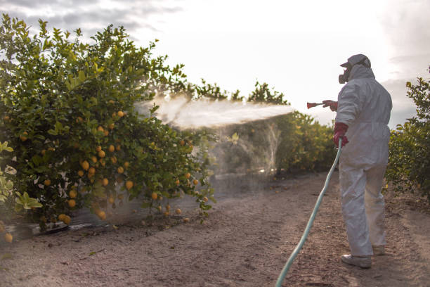 Best Pest Removal Services  in Waterville, NY