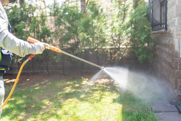 Best Local Pest Control Services  in Waterville, NY