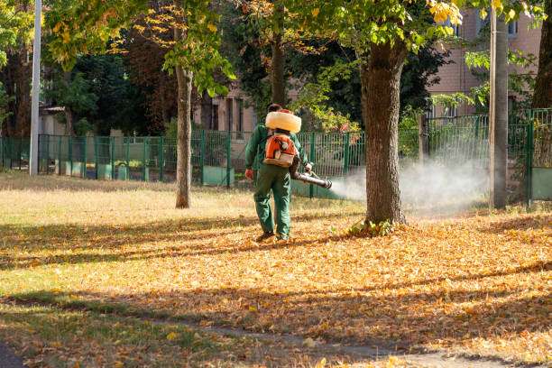 Best Bird Control  in Waterville, NY