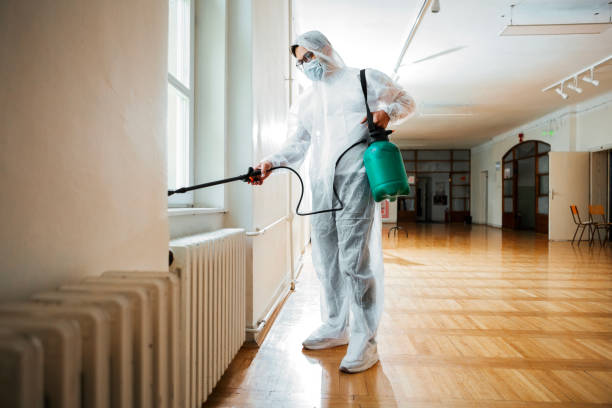 Best Flea Control Services  in Waterville, NY