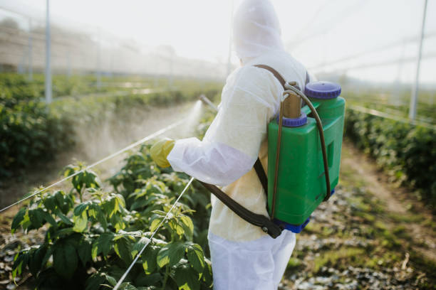 Best Exterminator Services  in Waterville, NY